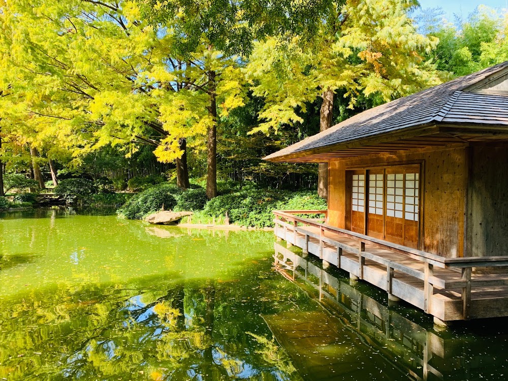 Japanese Garden - Tripopola
