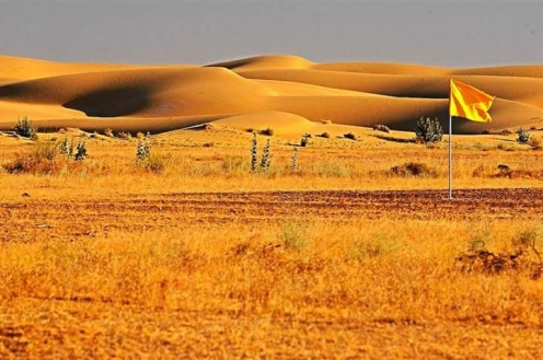 Desert National Park Jaisalmer