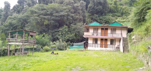 Snow Drop Home Shimla