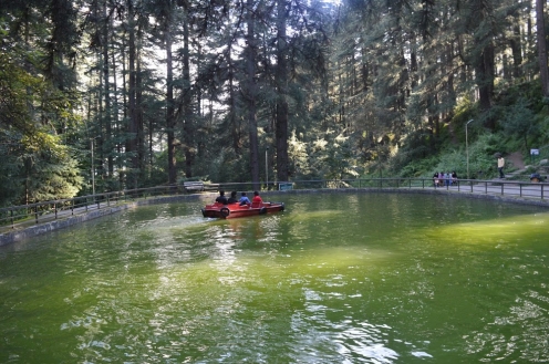 Van Vihar NH 21 Himachal Park