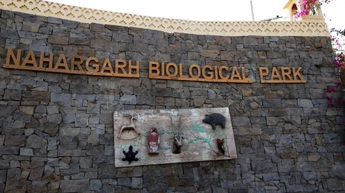 Nahargarh Biological Park