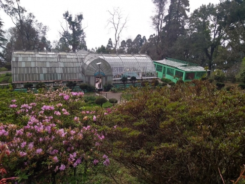 LLOYD BOTANICAL GARDEN