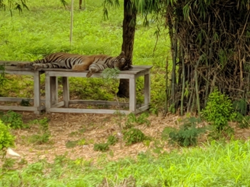 SajjanGarh Biological Park
