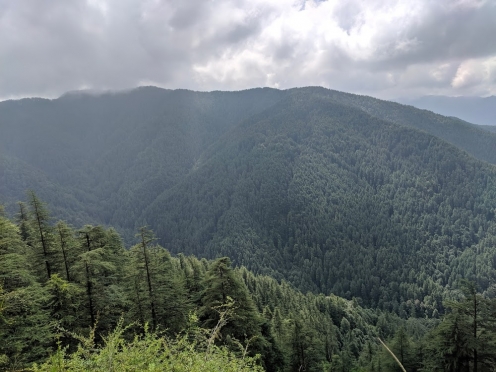 Shimla Reserve Forest Sanctuary
