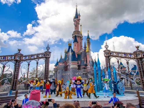 Disneyland with ticket and transfer.