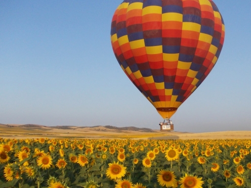 Hot air balloon [5 hours]