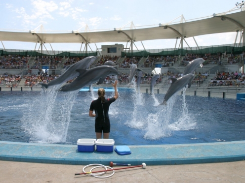 Hop on Hop off Bus tour with Oceanographic Tour.
