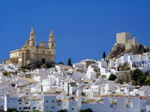 White village Ronda guided day tour [ 8hours] 