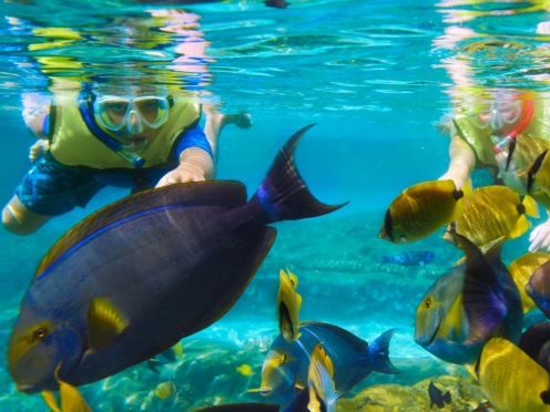 Full day snorkelling and island hopping trips from Phuket