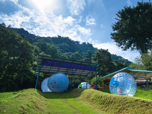 Maze Garden entrance [ complimentary]