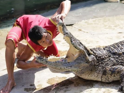 Samutprakarn Crocodile Farm and Zoo