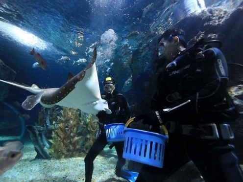 SEA LIFE Bangkok Ocean World