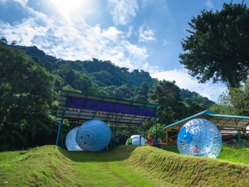 Maze Garden entrance [ complimentary]