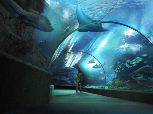 Sea Life Bangkok Ocean World  with transfers