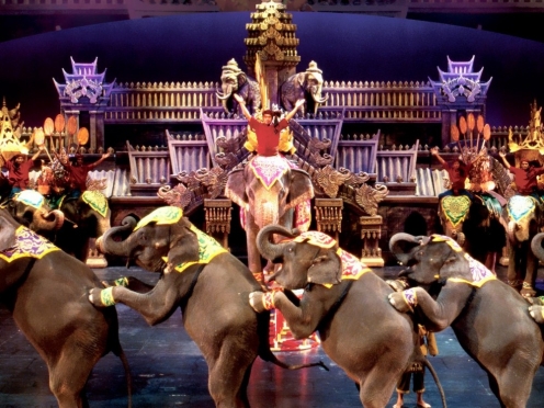 Fantasea show with dinner and transfers