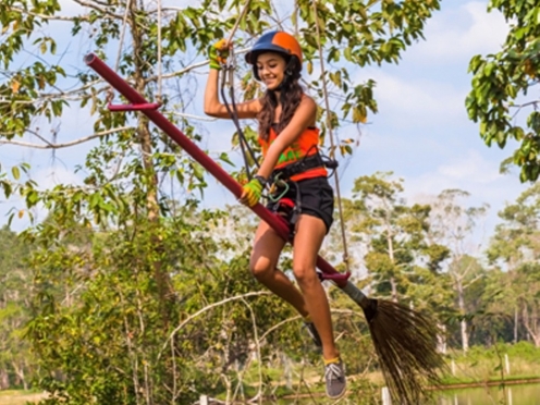 Rock Climbing , Tree Top , Zipline
