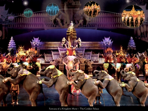 Fantasea show with dinner and transfers