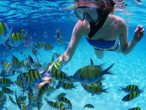 Full day snorkelling and island hopping trips from Phuket
