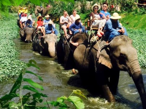 Pattaya Elephant Village