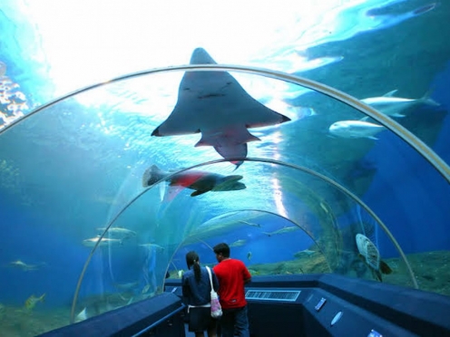 Underwater World Pattaya