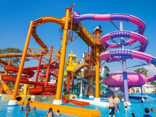 Cartoon Network Amazone