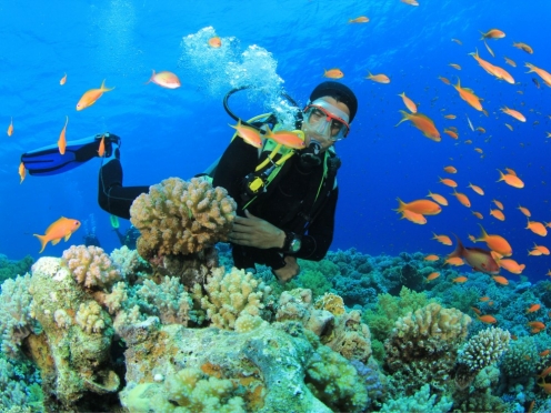 Scuba and snorkelling tours