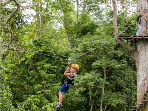 Zip line Adventure in the forest