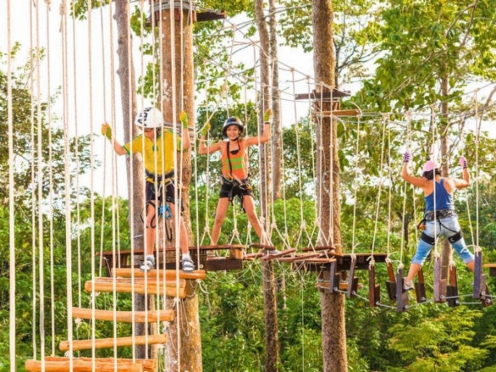 Rock Climbing , Tree Top , Zipline
