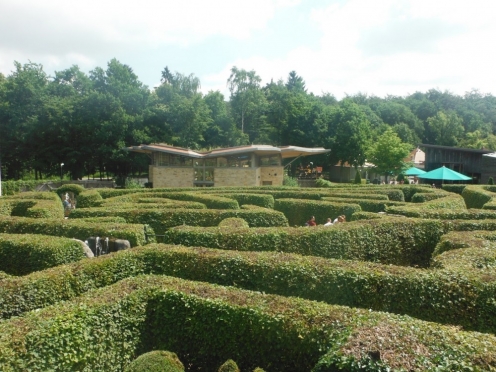 Maze Garden entrance [ complimentary]