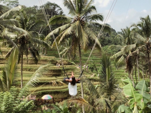 Swing above the Rice Terraces.