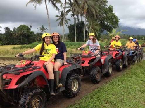 Best of Ubud with Money forest , ATV & Quad
