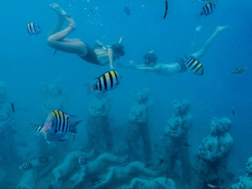 Private Snorkelling Tour in Gili Islands. [  2 hours ]