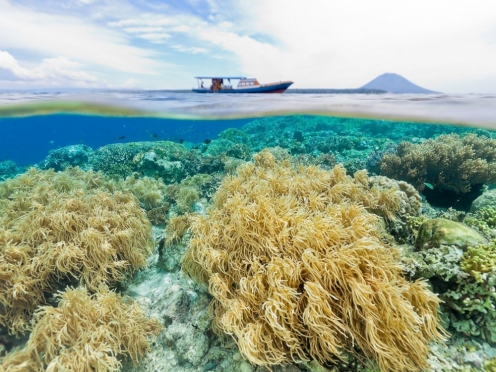 Nusa Lembongan with snorkelling day tour from Bali.