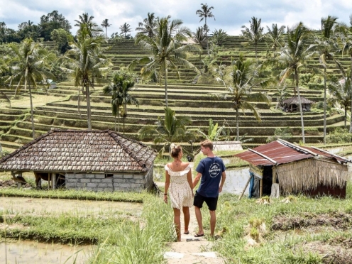 Jatiluwih Rice terraces [ UNESCO heritage ] and Sea Temples Ulun Danu Beratan.