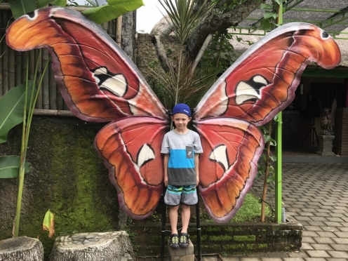 Bali Kemenuh Butterfly Park
