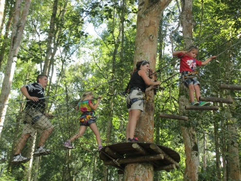 Treetop Adventure Park.