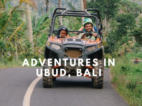 Best of Ubud with Money forest , ATV & Quad