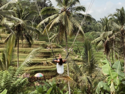 Swing above the Rice Terraces.