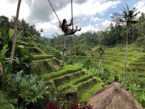 Best of Ubud with Swing in the jungle, Tengaungan waterfalls & Money forest.