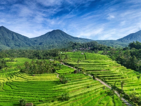 Jatilu wih Rice terraces Cycling [ UNESCO heritage ] and Sea Temples Ulun Danu Beratan
