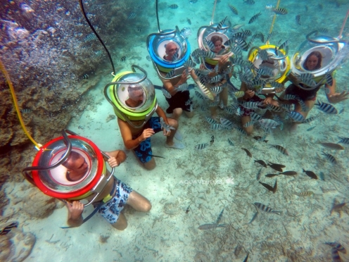 Under Sea Walk with Helmets & Fish Feeding 