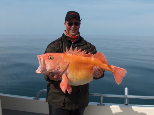 Fishing trips , Game Fish