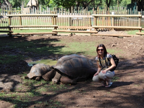 Southern Mauritius with lunch [ Crocodile farms , giant tortoises]