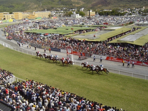 Horse Racing Derby