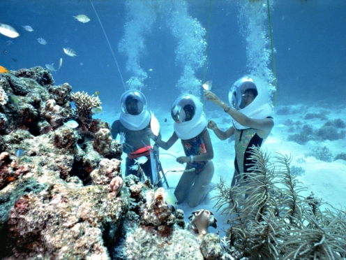 Under Sea Walk with Helmets & Fish Feeding .