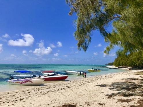Ile Aux Cerfs with lunch and drinks