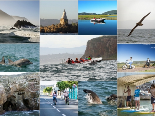 Whale Watching , Dolphins sighting  in Knysna