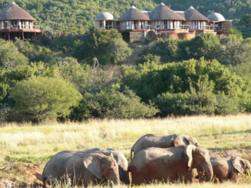 Stay there at Addo Elephant Reserve Park