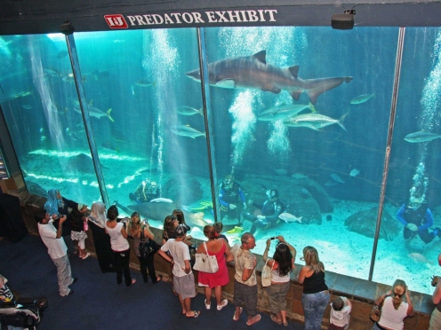 Two Oceans Aquarium