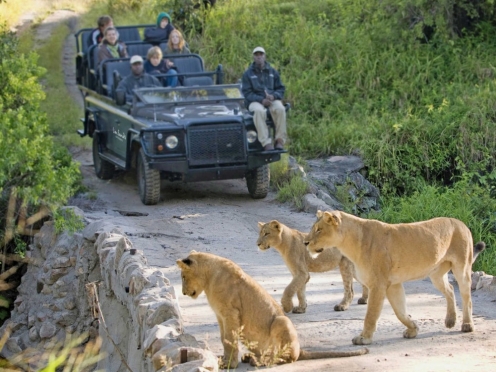Accommodation & Game Drives